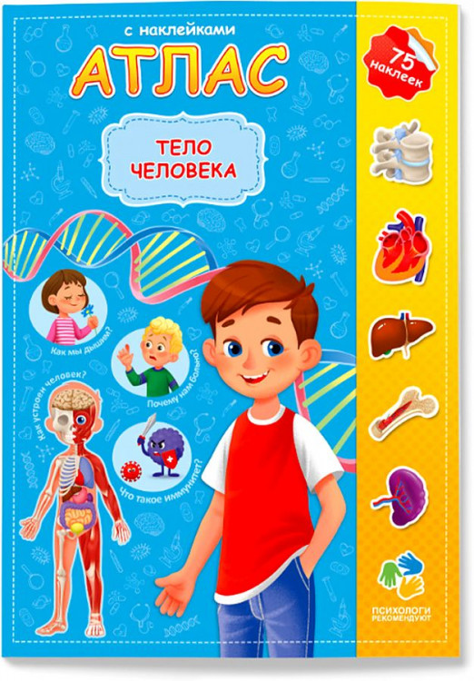Атлас с наклейками "Тело человека" А4 ГЕОДОМ