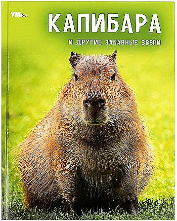 Энциклопедия А4 "Капибара и другие забавные звери" Умка