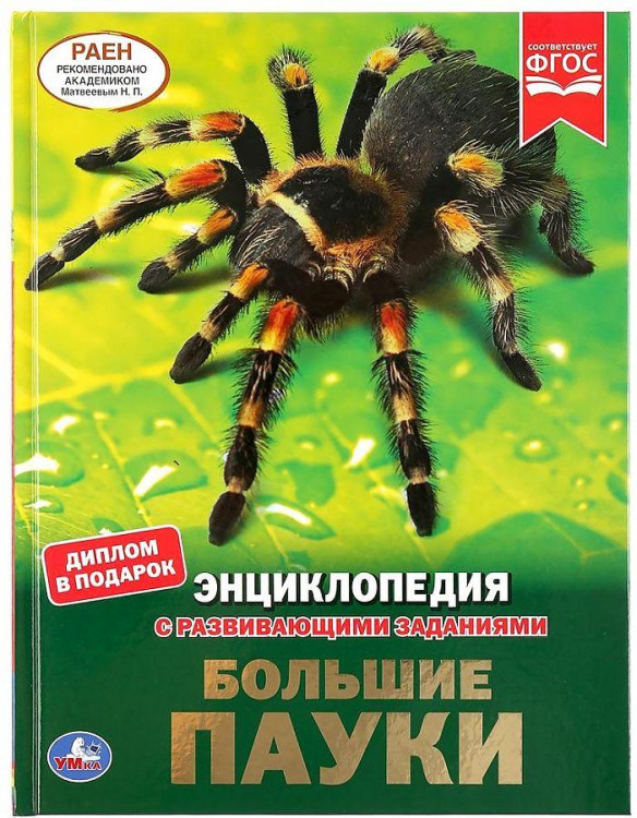 Энциклопедия с развивающими заданиями УМКА "Большие пауки" А4