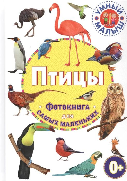 Энц. Умный малыш "Птицы" Фотокнига для самых маленьких "ВЛАДИС"